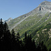 Aufstieg durch Arven- und Lärchenwald nach Lirec, darüber rechts die Garda Bordon, links Pigne de la Lé und Grand Cornier