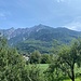 Von Sevelen aus ist der Wald zu sehen, durch den der 1100m-Abstieg von Gaflei nach Vaduz erfolgte.<br /><br />