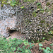 kleine Höhle südlich der Almhütte auf dem Chlifläschli