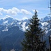 Am Monte Stabet hat man trotz der Bäume den einen oder anderen hübschen Ausblick.