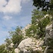 im Aufstieg zum Sattel