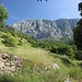 aufs Gebirge zu