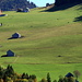 Blick Richtung Arvenbüel 

PS: Zufälligerweise sind die 3 unteren Hütten dieselben, welche ich später [http://www.hikr.org/gallery/photo378010.html hier] fotografiert habe