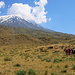 Tag 3 (22.7.) - Büyük Ağrı Dağı (5137m):<br /><br />Langsam nähern wir über snaft ansteigende Gras- und Steppenlandschaft uns dem mächtigen Vulkan.