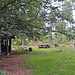 Der Kaisergarten. Das ist der höchste Punkt im ca. 600 Hektar großen Lambrechter Klosterwald, ca. 300 Meter nördlich der Breiten Loog. Seinen Namen trägt der Platz in Erinnerung an eine Party: 1804, in französischer Zeit, war er zur angeordneten Feier der Ernennung Napoleons zum erblichen Kaiser mit zwei steinernen Rondellen angelegt worden.