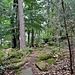 Auf dem Ostgipfel des Königsbergs.