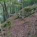 ...dann bald einem deutlichen, einst mit großem Aufwand (Stützmauern) gebauten Weg bergab.