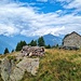 Die Alpe di Tonsgia, die noch bestossen wird