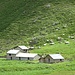 Nur noch die wenigen Schafe hinter dem Stall verbringen ausser Mutterkühen den Sommer auf der Alp de Rog