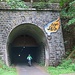 Der Große Schlitzohr Tunnel. Die Decke ist abgehängt, damit die Radfahrer nicht die Fledermäuse attackieren.