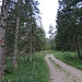 Ein breiter Forstweg führt zunächst aufwärts bis zur Einmündung des von Scharnitz kommenden Steiges (Lk: Kohlplatzl).
