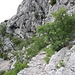 weiter geht es in schöner Landschaft