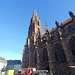 Startpunkt - Das Freiburger Münster