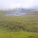 Seelein unter dem Nebel