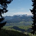 Blick von irgendwo zwischen Tomislochhöchi und Dreiländerstein: Sihlsee mit Glarner Alpen!