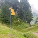 Beim Übergang südwestlich des Roggenstocks. Von hier aus kann man dem Grat folgen oder zuerst noch nördlich davon aufsteigen.<br /><br />