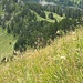 Ziemlich direkt gegen Süden. Auf dem zu sehenden Weg werde ich absteigen.<br /><br /><br />
