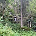 Urchige Landschaft. Tubenmoosbach, gesehen vom Weg aus, der meist immer noch gut zu erkennen ist.<br /><br />