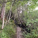 Auch der offizielle Wanderweg folgt weiter unten kurz dem Tubenmoosbach.<br /><br /><br />