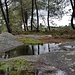 Auf dem blauen 2