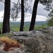 Auf dem blauen 5