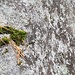 Detail 4