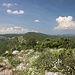 Blick zurück nach Norden