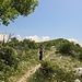 wunderbarer Steig