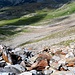 la pietraia infinita verso l'Alpe Prabello