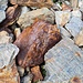 <b>Alcune pietre rosso-scuro sembrano dei pezzi di ferro arrugginito. Si tratta, appunto, di rocce ferrifere limonitizzate.</b>