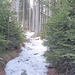Aufstieg - der Weg ist teilweise schneebedeckt und auch eisig.