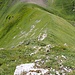 Blick auf den Abstieg vom Tibistock von oben. Zuerst auf's Bödeli in der Bildmitte, dann nach links ein Grasband hinunter.