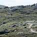 Trailspur