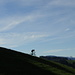 Die Hügel rund ums Neckertal sind auch ein Eldorado für Mountainbiker