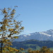 Herbstlicher Alpstein