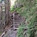 Il sentiero è per lunghi tratti artificiale con passaggi ricavati dal riempimento di trinee di tronchi con scale in legno.