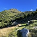 Alpe di Casned