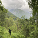 Die Natur freut's