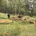 Die Ruine Botnen