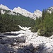 Costa del Bartoldo "GRAN POMAGAGNON"