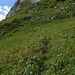 Diese Spur meine ich. Die Steilstufe ist erstaunlich rutschig, fast schon ein knappes T4, aber nur für ein paar Meter.