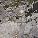 Ein paar Meter weiter unten klettert man nochmals drei Meter durch eine Kerbe. Nur hier kommt kurz mal ein bisschen Kamin-Feeling auf.
