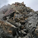 Südrippe von dem markanten Felsen aus gesehen. Sehr unübersichtliches und nicht einfaches Gelände. Oben links im Bild mündet der Südgrat ein.