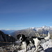 Nora mit Berner und Walliser Alpen