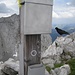 Steinfalk