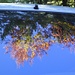 Herbst-Spiegel-Bild