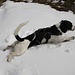 Nora - Playtime und fun im Schnee / en la nieva