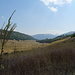 La Cicerana. Sullo sfondo il Monte Palombo (m.2013).