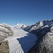 Aletschgletscher vom Eggishorn aus<br /><br />Dreieckhorn - Jungfrau - Mönch - Trugberg - Eiger - Fischer Gabelhorn - Gross Wannenhorn