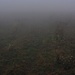 Oberhalb der Ћићаина чука (Ćićeina čuka) stand ich in dichtem Nebel, ich befinde mich nun beim ebenen Grasvorsprung auf 1600m aber es war noch eine gute Wegspur vorhanden.